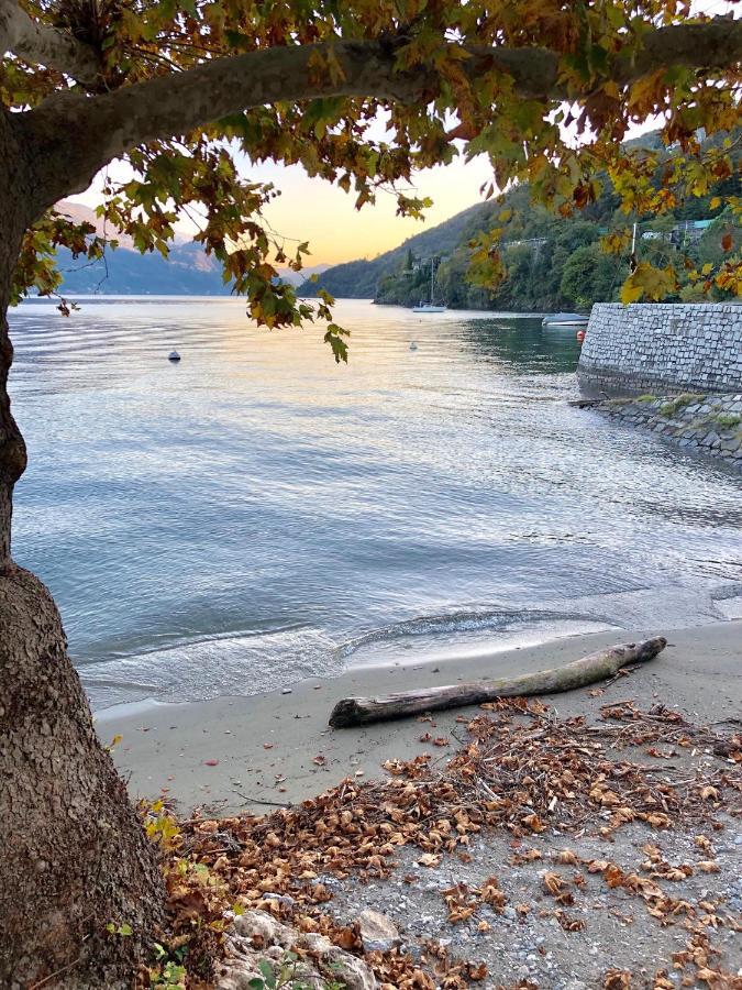 Gabry'S Home Pianello Del Lario エクステリア 写真